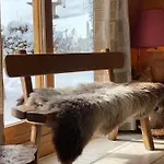 Chalet Vue Montagne , Proche Des Pistes Megeve