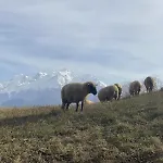 Vue Montagne , Proche Des Pistes Chalet Megeve