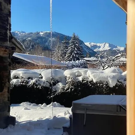 Vue Montagne , Proche Des Pistes *