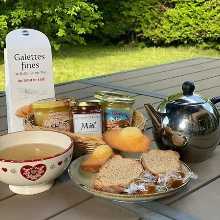 Vue Montagne , Proche Des Pistes Megève