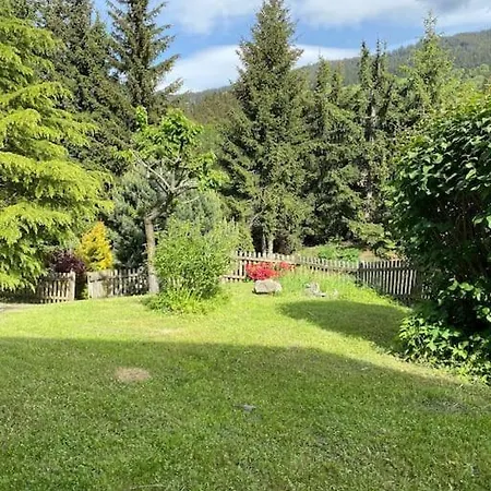 Vue Montagne , Proche Des Pistes *