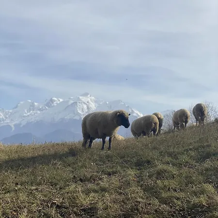 Vue Montagne , Proche Des Pistes شاليه موجوف