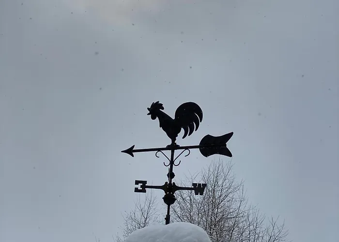 Vue Montagne , Proche Des Pistes * 梅杰夫