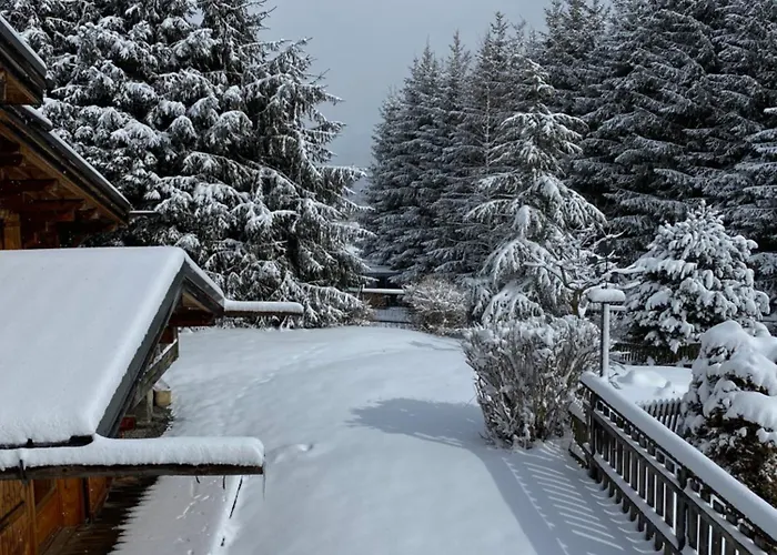 Vue Montagne , Proche Des Pistes *