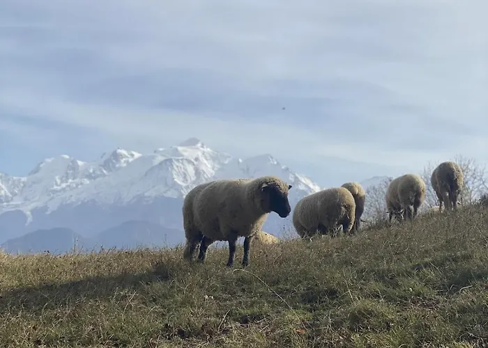 Vue Montagne , Proche Des Pistes 木屋 梅杰夫