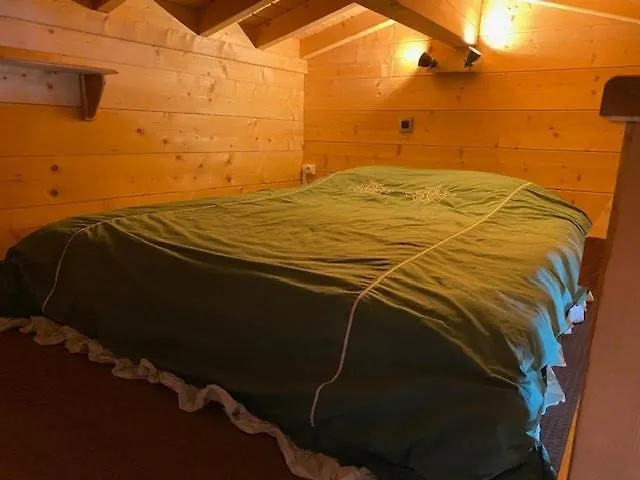 Vue Montagne , Proche Des Pistes 木屋 *